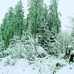 Yalet 2 Vlakbij Willingen *