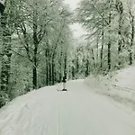 Yalet 2 Vlakbij Willingen * Brilon-Wald