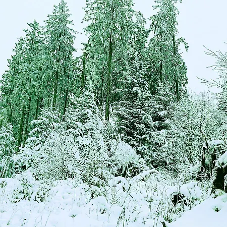 Yalet 2 Vlakbij Willingen *