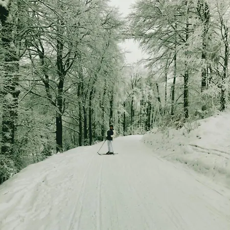 Yalet 2 Vlakbij Willingen * Brilon-Wald