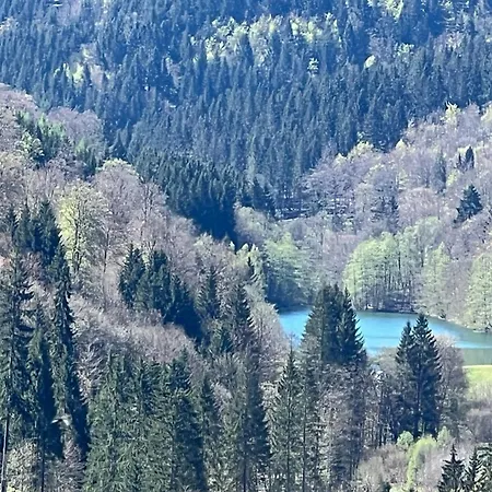 Yalet 2 Vlakbij Willingen