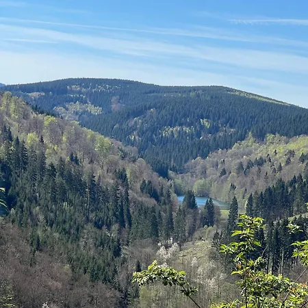 Apartment Yalet 2 Vlakbij Willingen *