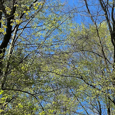 Yalet 2 Vlakbij Willingen