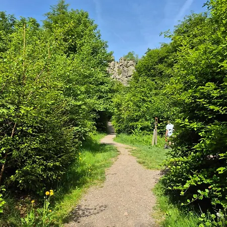 Yalet 2 Vlakbij Willingen *