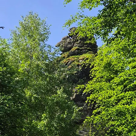 Yalet 2 Vlakbij Willingen Brilon-Wald