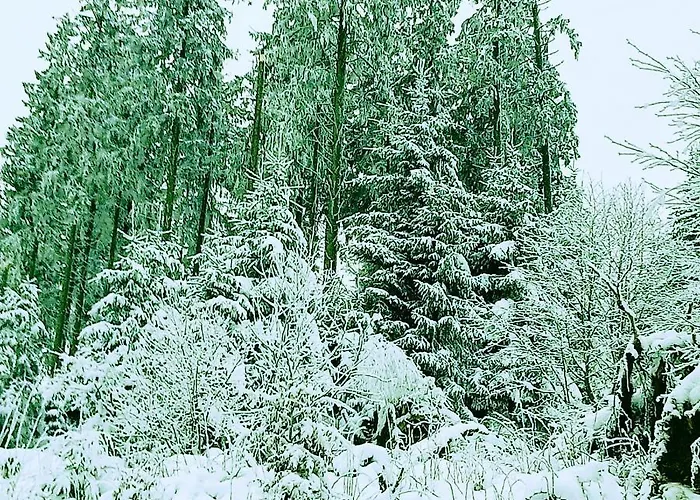 Yalet 2 Vlakbij Willingen *