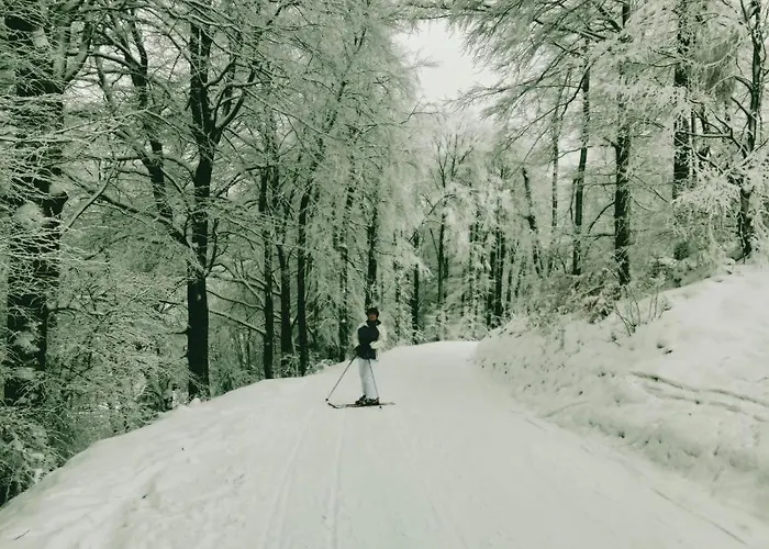 Yalet 2 Vlakbij Willingen * Brilon-Wald