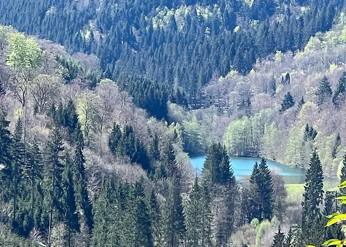 Yalet 2 Vlakbij Willingen