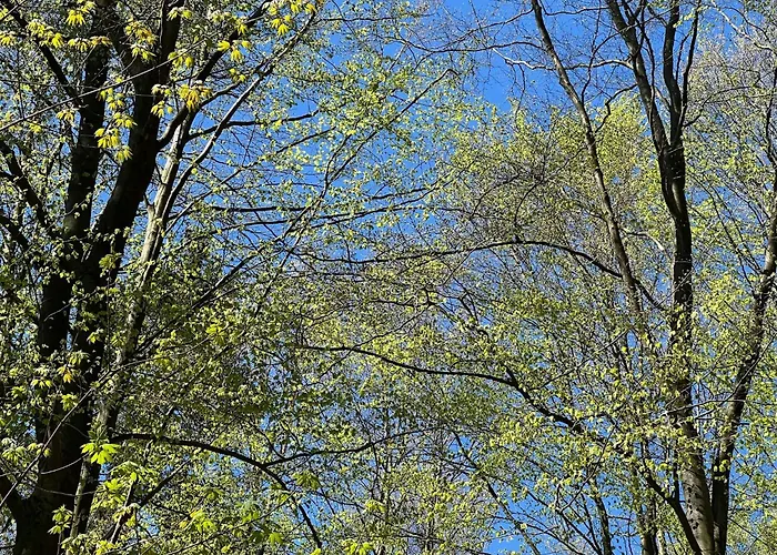 Yalet 2 Vlakbij Willingen